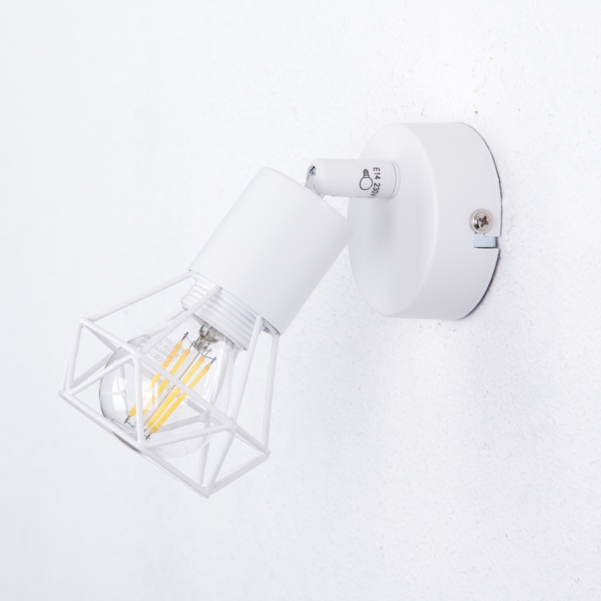 Globo - Nástenné bodové svietidlo 1xE14/40W/230V