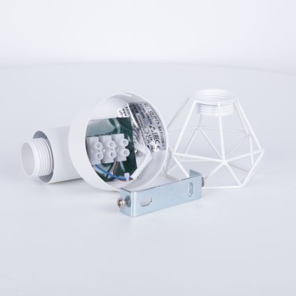 Globo - Nástenné bodové svietidlo 1xE14/40W/230V