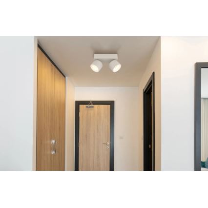 Globo - LED bodové svietidlo 2xLED/6W/230V