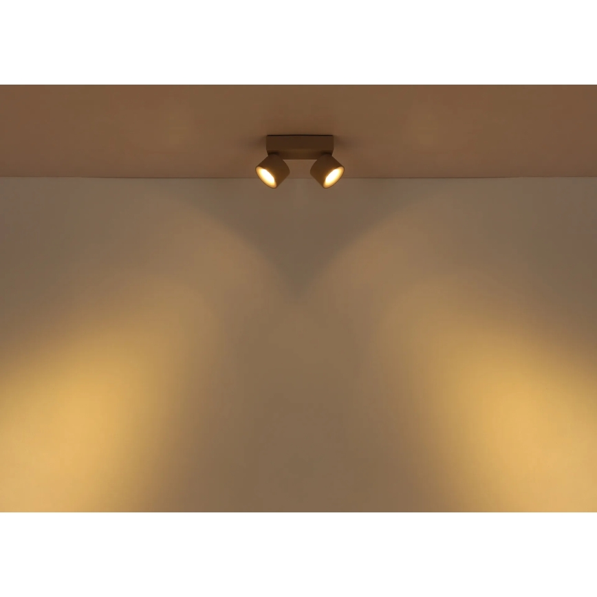 Globo - LED bodové svietidlo 2xLED/6W/230V