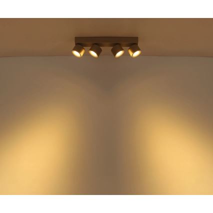 Globo - LED Bodové svietidlo 4xLED/6W/230V
