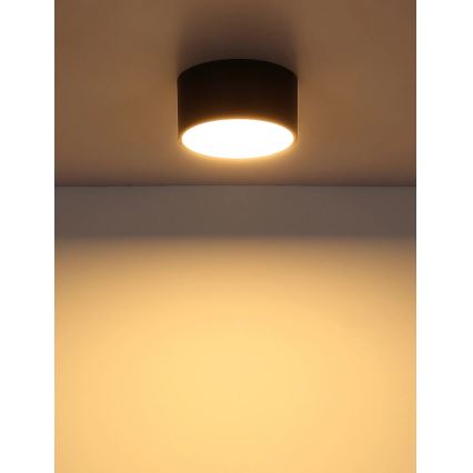 Globo - LED Stropné svietidlo LED/12W/230V 3000K pr. 15 cm čierne