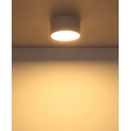 Globo - LED stropné svietidlo LED/12W/230V 3000K pr. 15 cm biela
