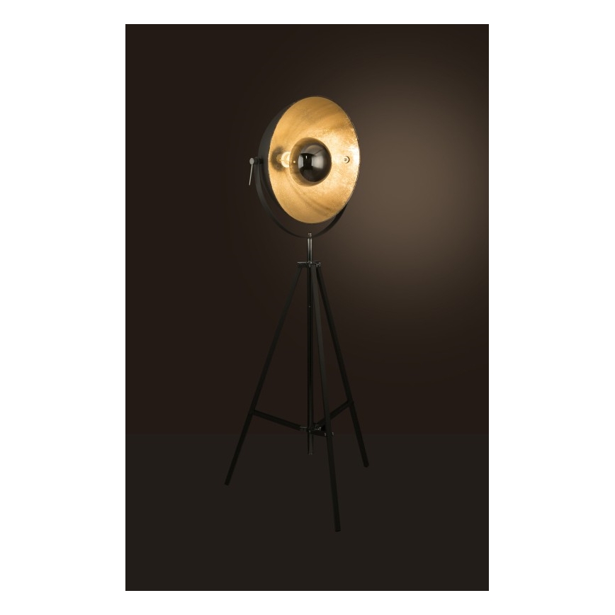 Globo - Stojacia lampa 1xE27/60W/230V