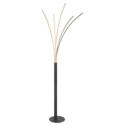 Stojacia lampa s vysokým čiernym stojanom a piatimi zlatými ramenami s LED osvetlením smeruje nahor. Lampa stojí na kruhovej základni na bielom pozadí.