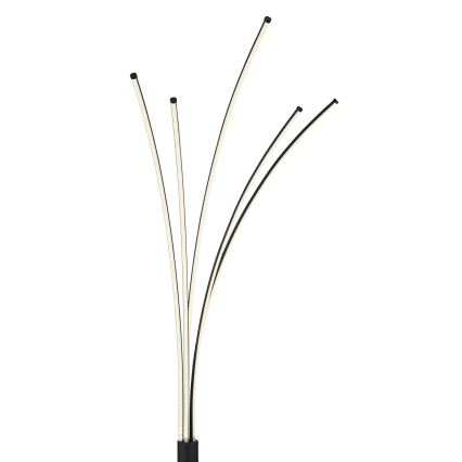 Globo - LED stmievateľná stojacia lampa LED/36W/230V 3000-6000K Wi-Fi Tuya + diaľkové ovládanie