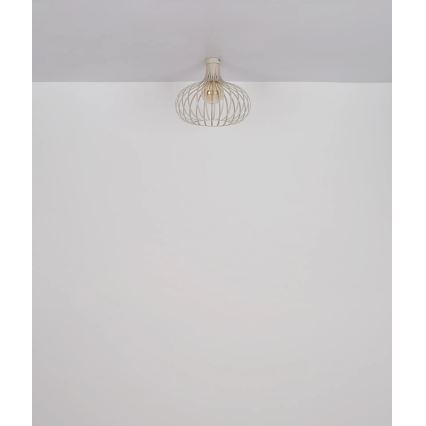 Globo - Stropné svietidlo 1xE27/40W/230V