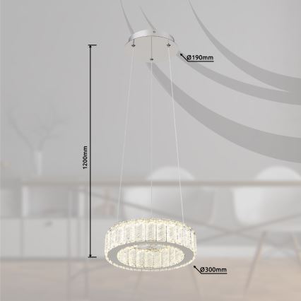 Lampa visí zo stropu. Je kruhového tvaru, zložená z dvoch koncentrických krúžkov osvetlených LED diódami. Rozmery: priemer spodného krúžku 300 mm, priemer horného prvku 190 mm, výška 1200 mm.