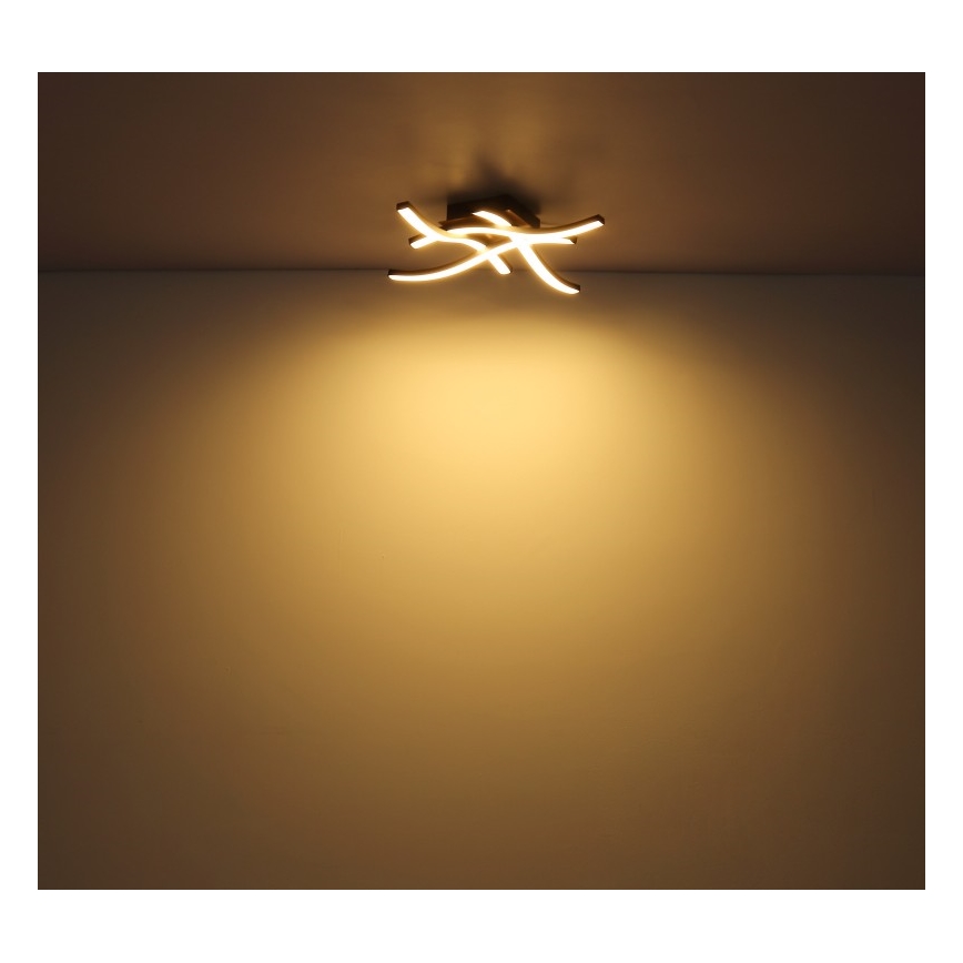 Globo - LED Prisadený luster 4xLED/5W/230V