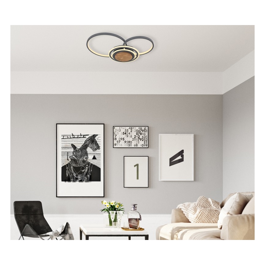 Globo - LED Stropné svietidlo LED/40W/230V