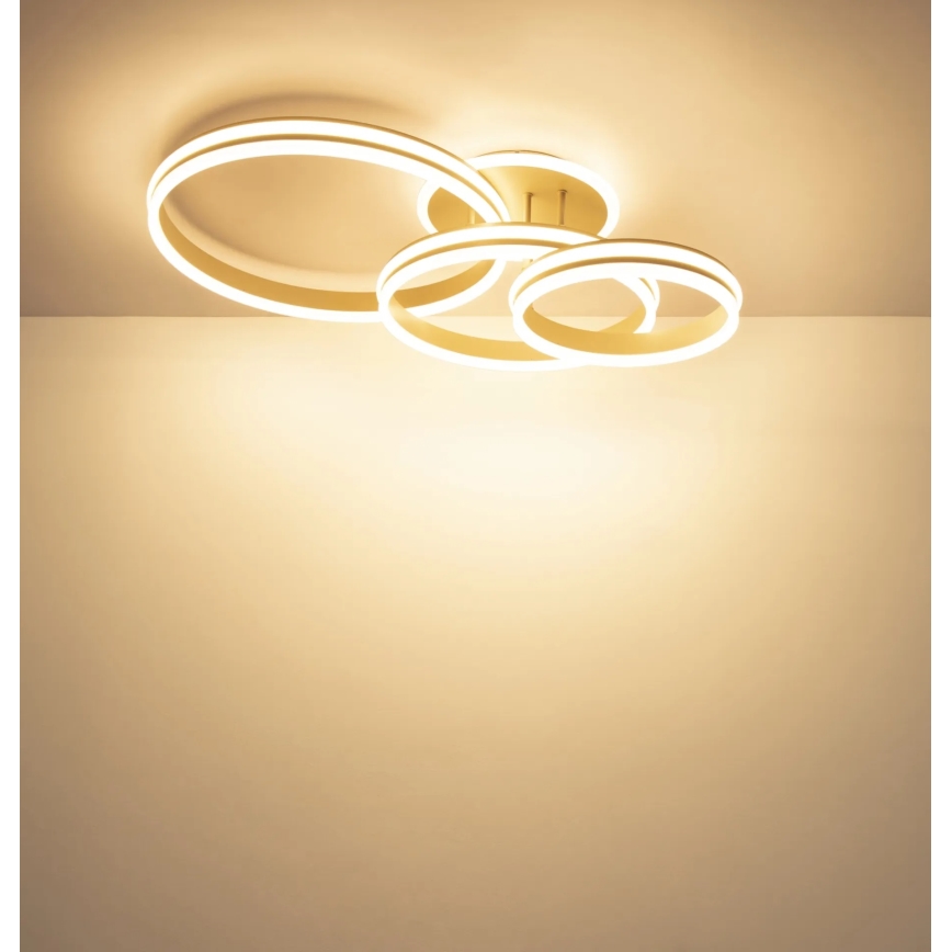Globo - stmievateľné LED stropné svietidlo 72W/230V 3000K 79,5x50 cm