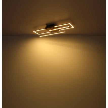 Globo - LED Stropné svietidlo LED/24W/230V 3000K 20x80 cm