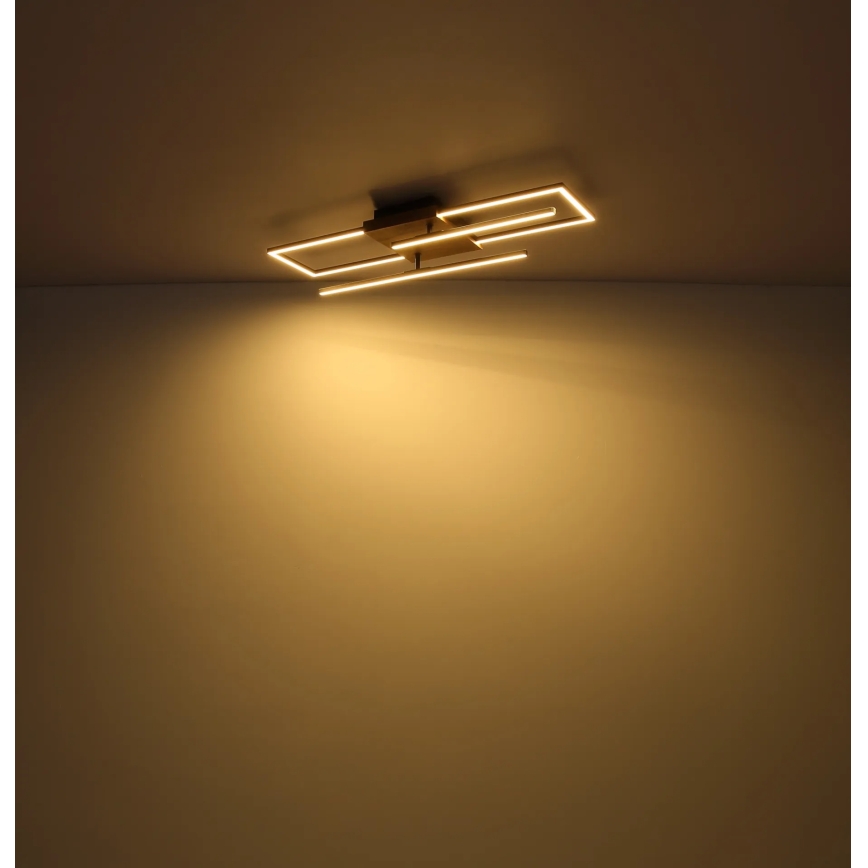 Globo - LED Stropné svietidlo LED/24W/230V 3000K 20x80 cm