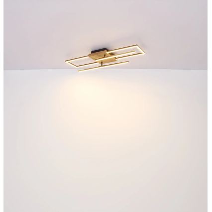Globo - LED Stropné svietidlo LED/24W/230V 3000K 20x80 cm