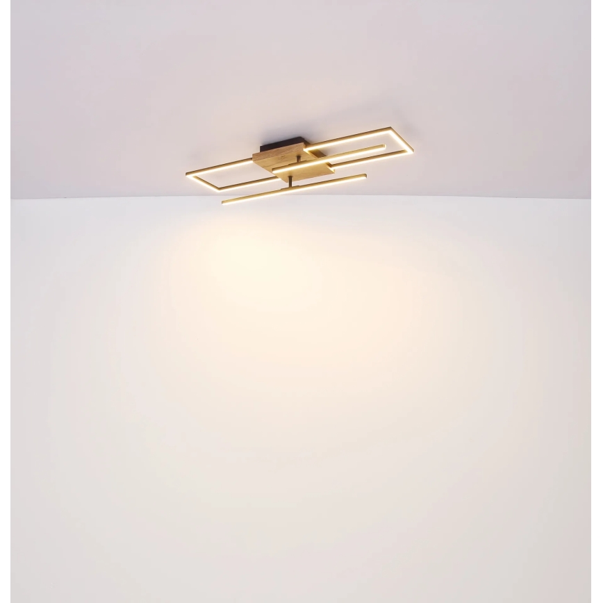 Globo - LED Stropné svietidlo LED/24W/230V 3000K 20x80 cm