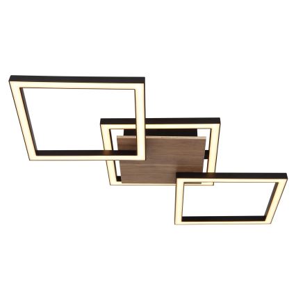 Globo - LED stropné svietidlo LED/24W/230V 3000K 27,5x63 cm
