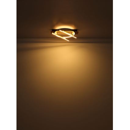 Globo - LED Stropné svietidlo LED/32W/230V