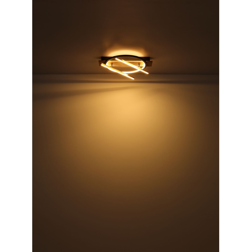 Globo - LED Stropné svietidlo LED/32W/230V