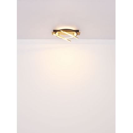 Globo - LED Stropné svietidlo LED/32W/230V