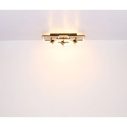 Globo - LED Stropné svietidlo LED/48W/230V + 3xGU10/5W 3000K 27x72 cm
