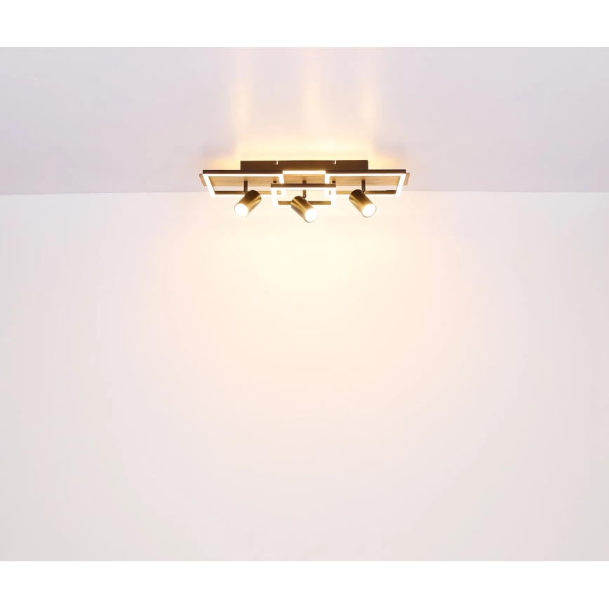 Globo - LED Stropné svietidlo LED/48W/230V + 3xGU10/5W 3000K 27x72 cm