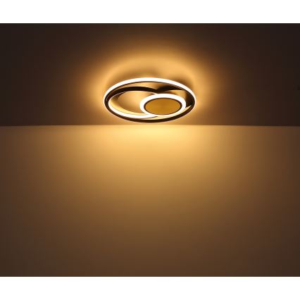 Globo - LED Stropné svietidlo LED/24W/230V