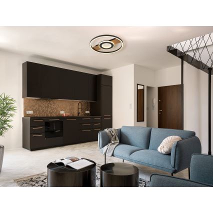 Globo - LED Stropné svietidlo LED/24W/230V