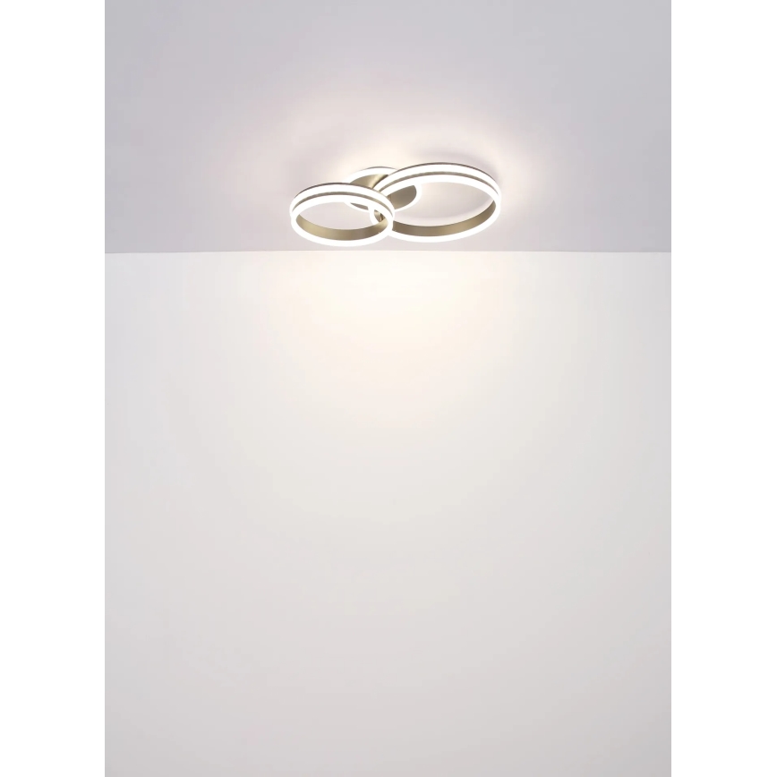 Globo - LED stmievateľné stropné svietidlo LED/50W/230V 2700-6000K 50x75 cm + diaľkové ovládanie