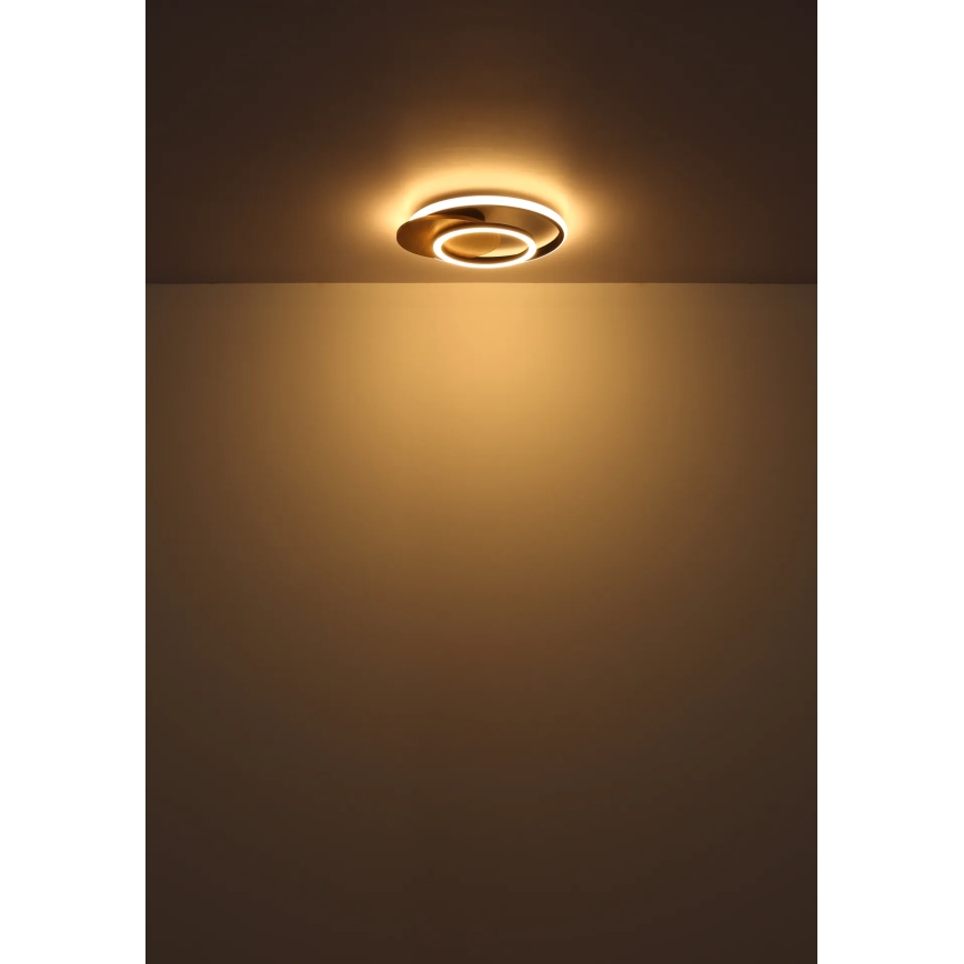 Globo - LED Stropné svietidlo LED/24W/230V