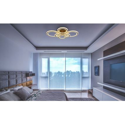 Globo - LED stmievateľné stropné svietidlo LED/60W/230V 2700-6000K 56x78 cm antracit + diaľkové ovládanie