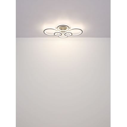 Globo - LED stmievateľné stropné svietidlo LED/60W/230V 2700-6000K 56x78 cm antracit + diaľkové ovládanie