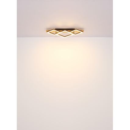 Globo - LED Stropné svietidlo LED/32W/230V 3000K 31x61cm