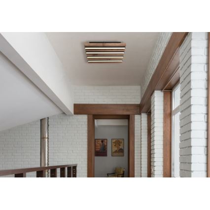 Globo - LED stropné svietidlo LED/15W/230V 3000K 30x30 cm