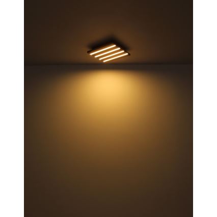 Globo - LED stropné svietidlo LED/15W/230V 3000K 30x30 cm