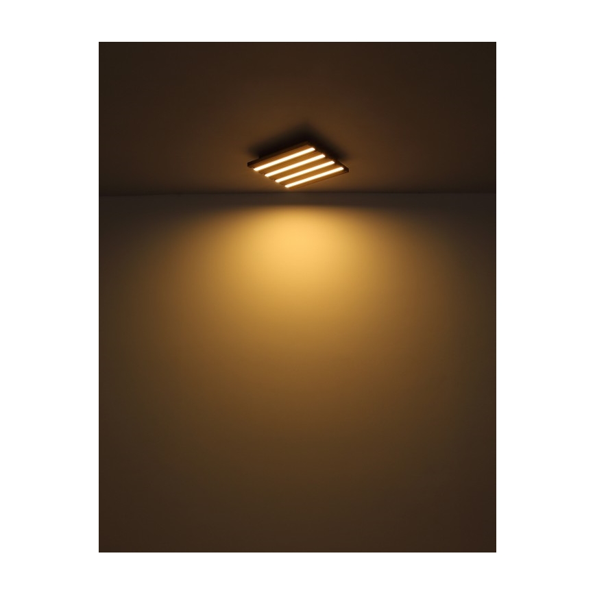 Globo - LED stropné svietidlo LED/15W/230V 3000K 30x30 cm