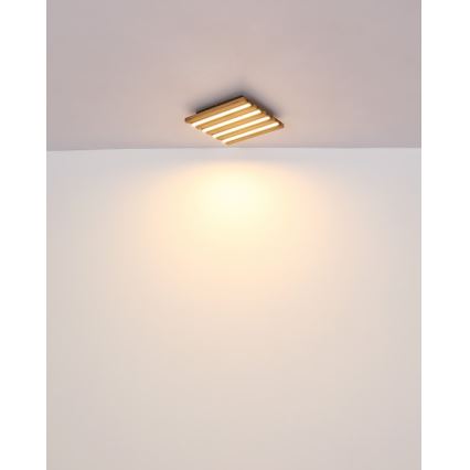Globo - LED stropné svietidlo LED/15W/230V 3000K 30x30 cm