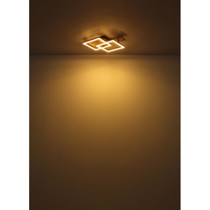 Globo - LED Stropné svietidlo LED/16W/230V 3000K 33x44 cm