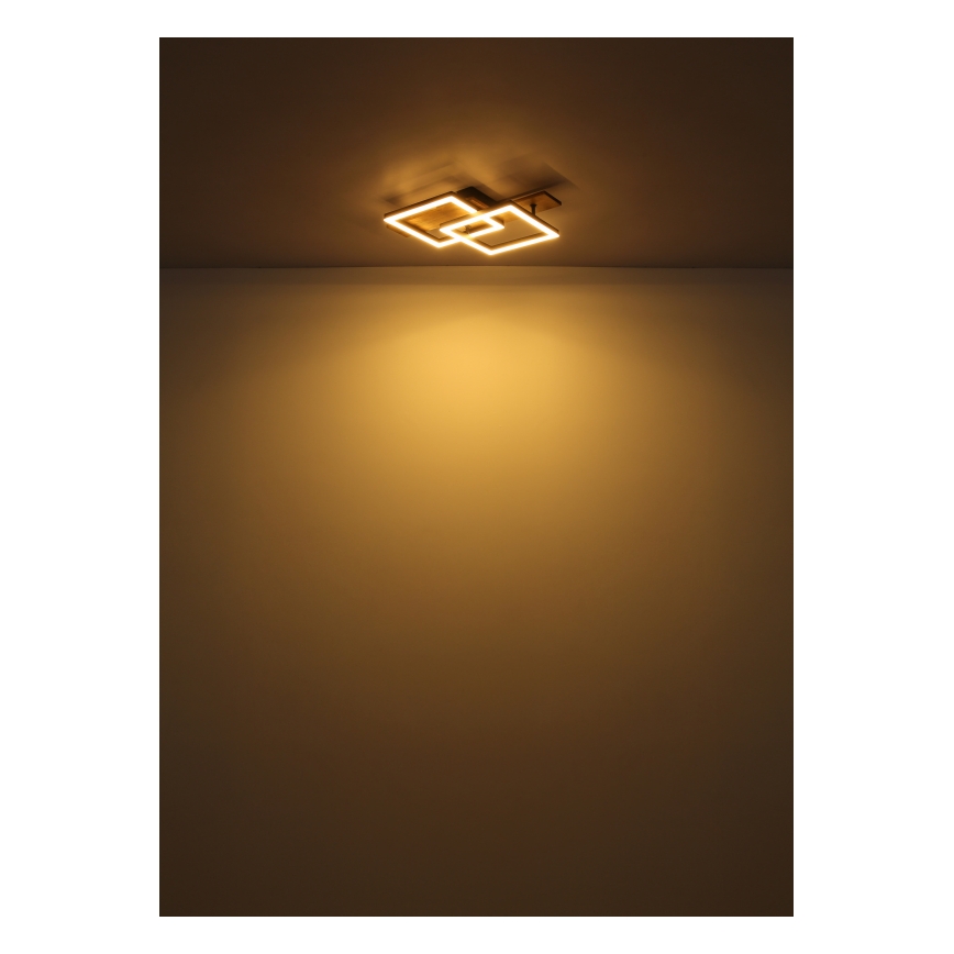 Globo - LED Stropné svietidlo LED/16W/230V 3000K 33x44 cm