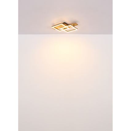 Globo - LED Stropné svietidlo LED/16W/230V 3000K 33x44 cm