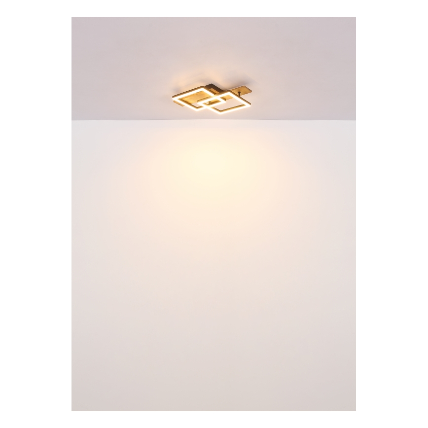 Globo - LED Stropné svietidlo LED/16W/230V 3000K 33x44 cm