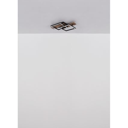 Globo - LED Stropné svietidlo LED/16W/230V 3000K 33x44 cm