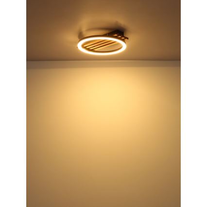 Globo - LED Stropné svietidlo LED/12W/230V 3000K 30x34 cm