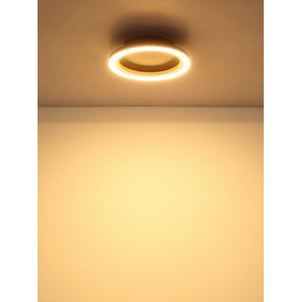 Globo - LED stropné svietidlo LED/12W/230V 3000K pr. 20,5 cm