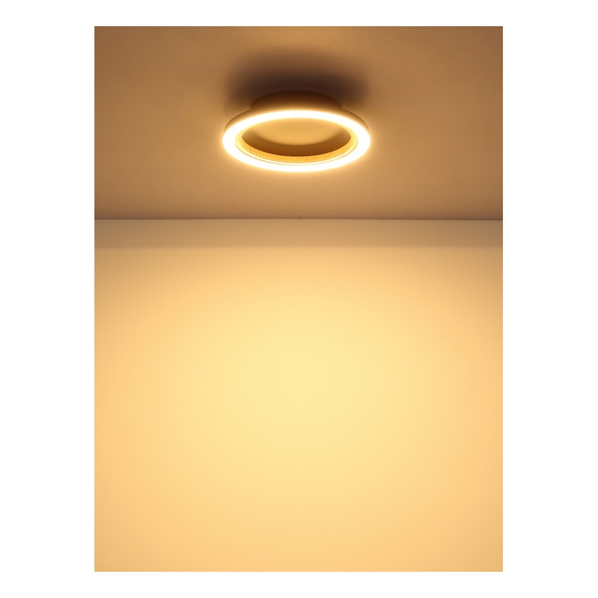 Globo - LED stropné svietidlo LED/12W/230V 3000K pr. 20,5 cm