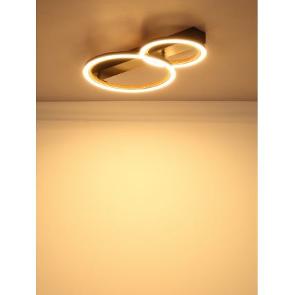 Globo - LED stropné svietidlo LED/30W/230V 3000K 44x30 cm