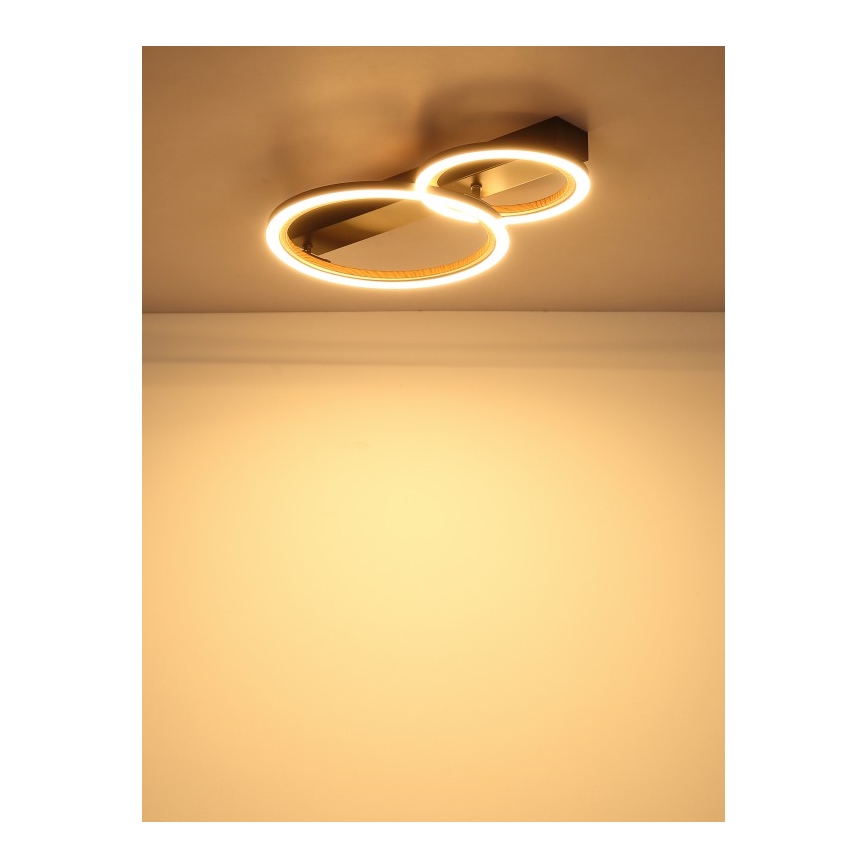 Globo - LED stropné svietidlo LED/30W/230V 3000K 44x30 cm