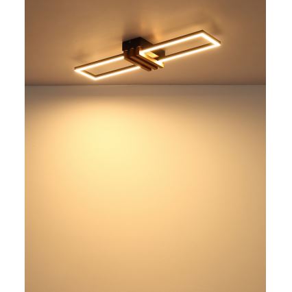 Globo - LED Stropné svietidlo LED/20W/230V 3000K 60x16,8 cm