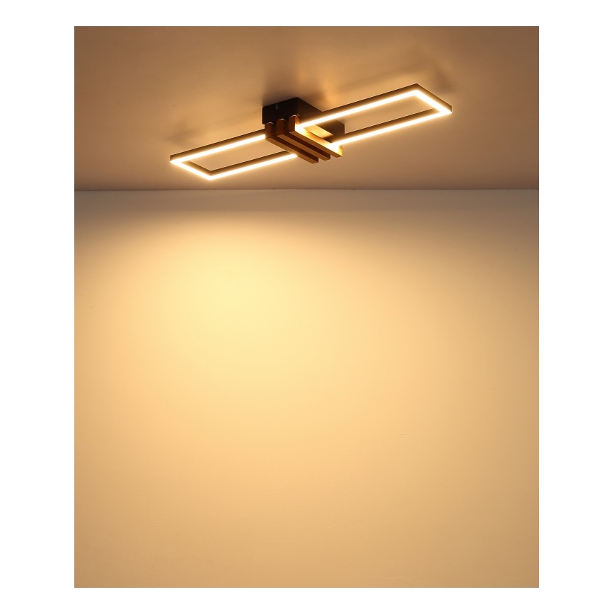 Globo - LED Stropné svietidlo LED/20W/230V 3000K 60x16,8 cm
