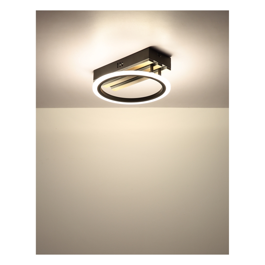 Globo - LED stropné svietidlo LED/10W/230V 3000/4200/6000K