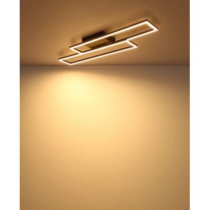 Globo - LED Stropné svietidlo LED/30W/230V 3000K 80x22 cm